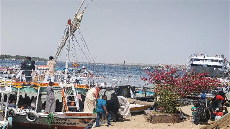 شيماء طه 