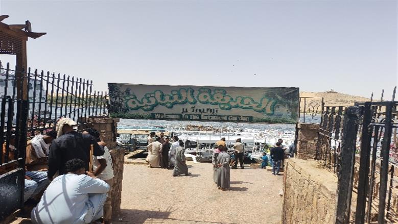 شيماء طه 