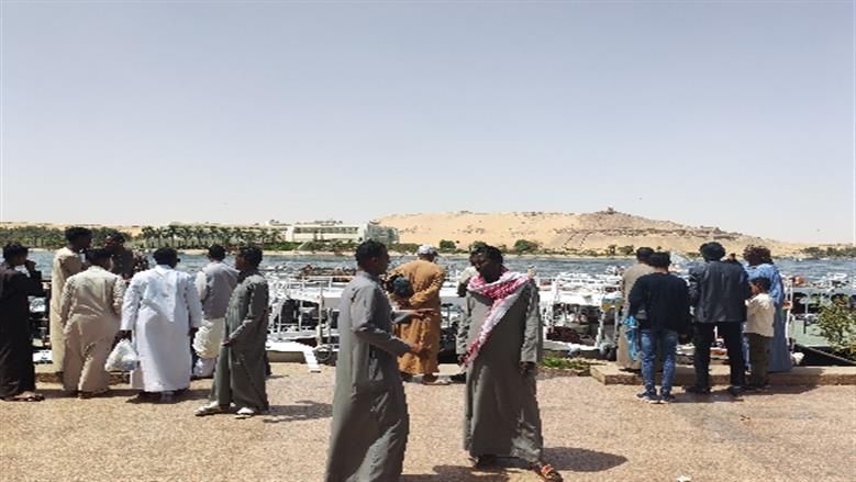 شيماء طه 