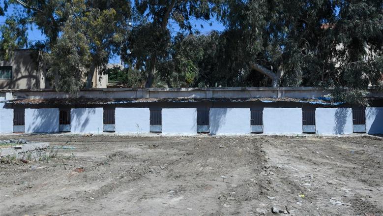 محافظ الإسكندرية يتفقد شلتر الكلاب الضالة