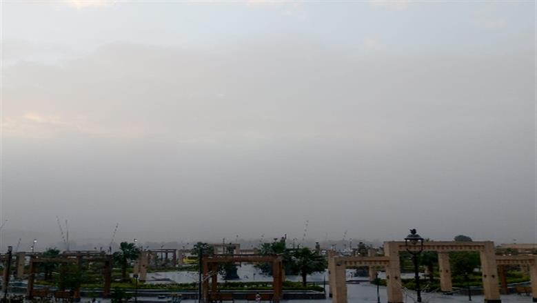 شيماء طه 