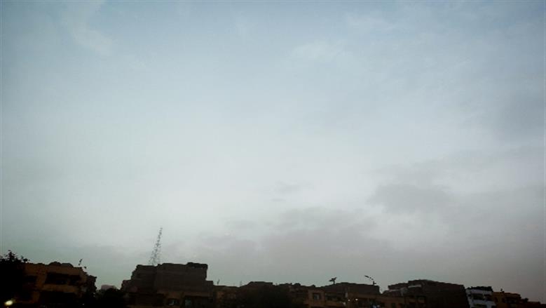 شيماء طه 