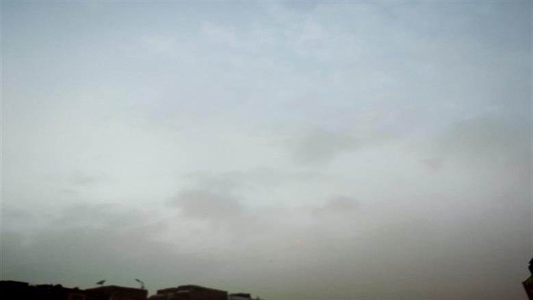 شيماء طه 