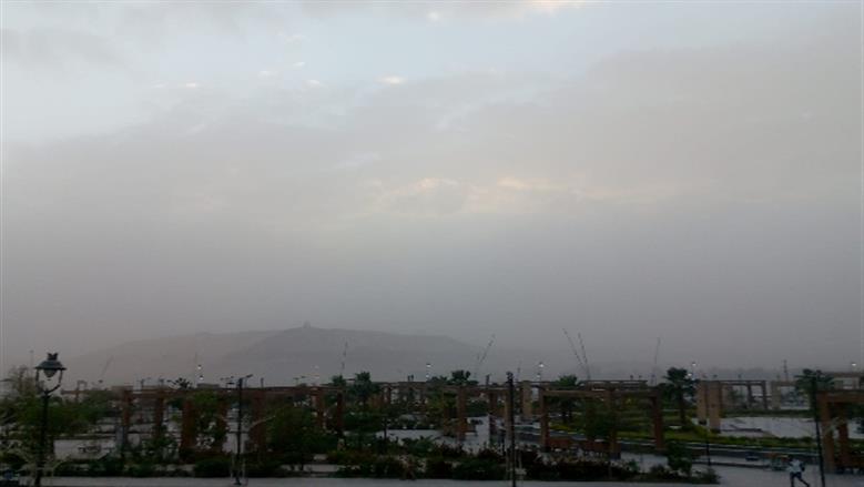 شيماء طه 