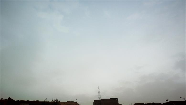 شيماء طه 
