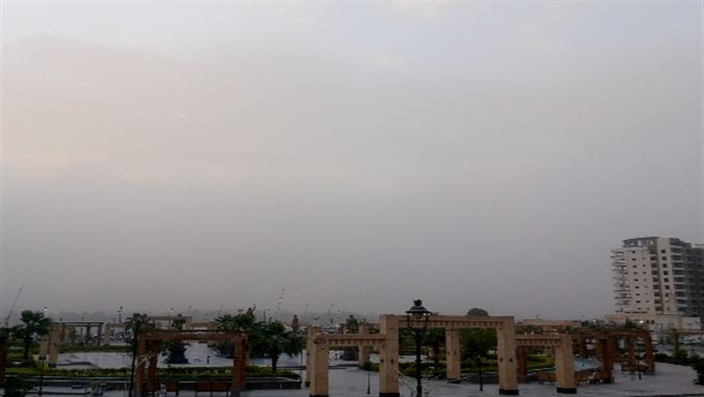 شيماء طه 