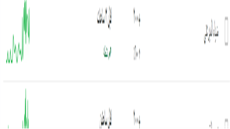 ضياء الميرغني