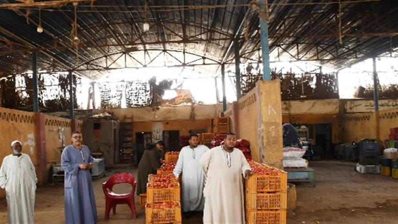 محافظة أسوان