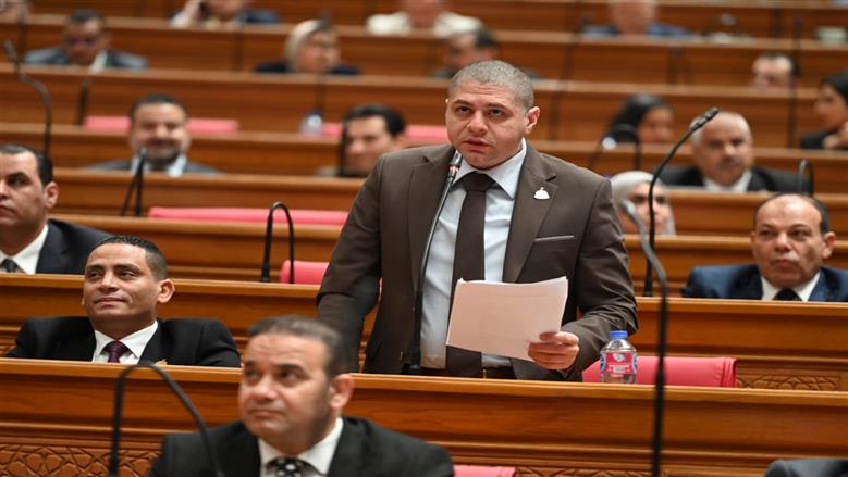 النائب أحمد جبيلي يشيد بتوجيه الرئيس بدراسة إطلاق «دولة الفنون والإبداع»: إدراك عميق لأهمية القوة الناعمة