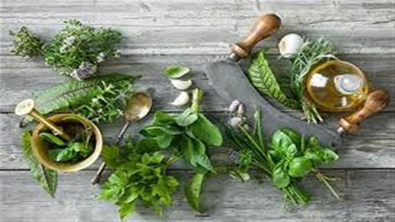 أعشاب تنقذ حياتك.. الزعتر والكزبرة علاجات سحرية 