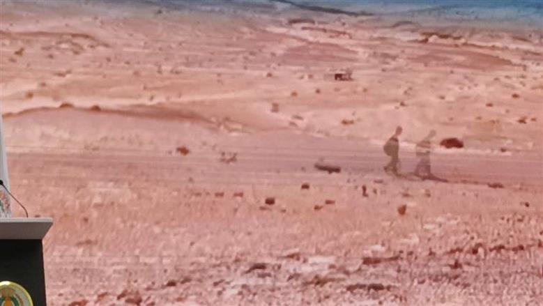 جامعة المنصورة 