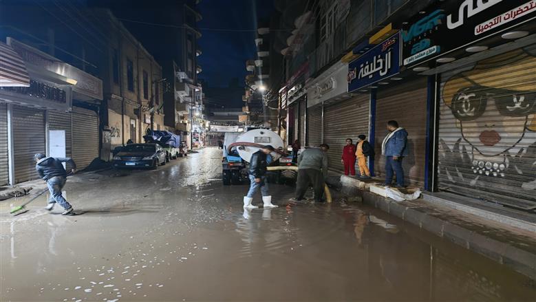 المنوفية
