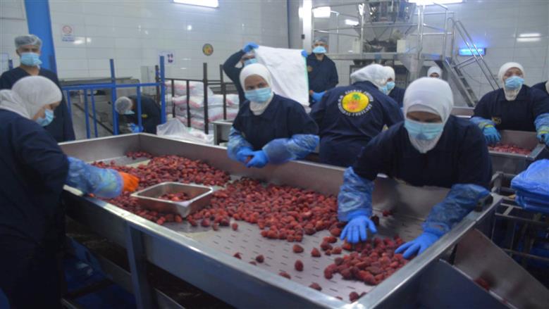 محافظ القليوبية يتفقد المنطقة الاستثمارية ببنها ويوجه بإنشاء منافذ لبيع المنتجات بأسعار مخفضة