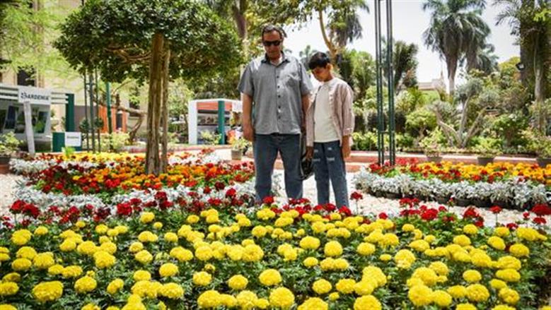 مع استمرار التقلبات الجوية.. مدة فصل الربيع 2026 فلكيًا وموعد انتهائه