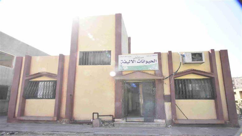 محافظ بورسعيد 