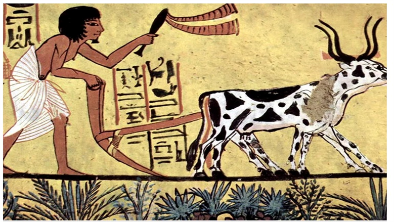 المصري