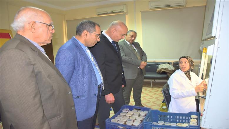 المنوفية