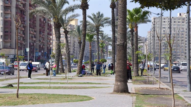 زراعة جزيرة مصطفى كامل في الإسكندرية