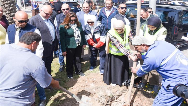 زراعة 9460 شجرة بشارع مصطفى كامل في الإسكندرية ضمن المرحلة الرابعة من «100 مليون شجرة»