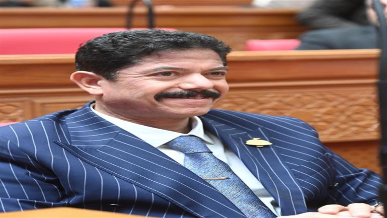 النائب علاء الحديوي: كلمة الرئيس السيسي في مؤتمر إيجبس رسالة سياسية قوية 