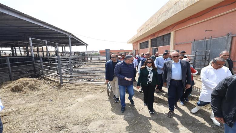 جولة وزيرة التنمية المحلية 