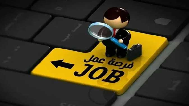 المجلس الصحي المصري