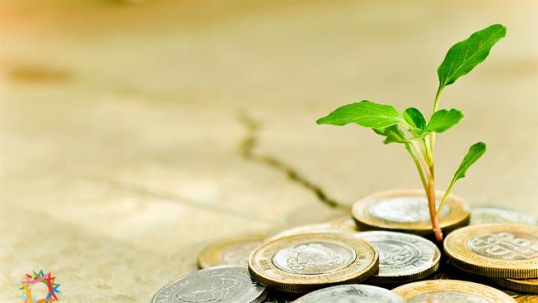 نصاب زكاة المال.. بيان شرعي بالأدلة من القرآن والسنة
