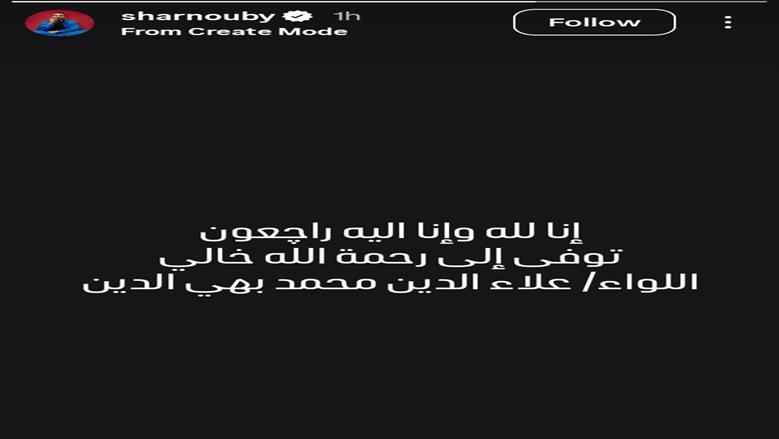 محمد الشرنوبي