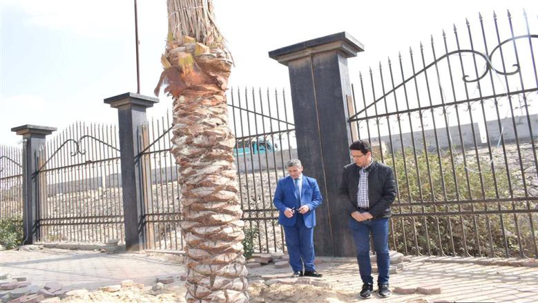 رئيس جامعة بنها : تتبني نموذج الجامعة المنتجة وأبرز المشروعات زراعة النخيل المثمر