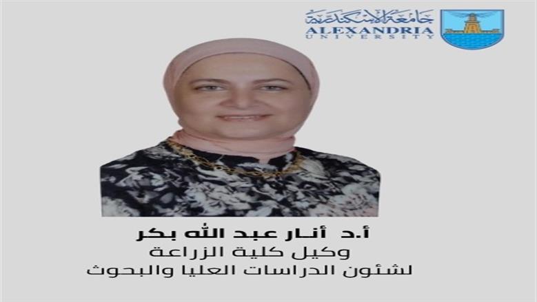 وكلاء كليات في جامعة الإسكندرية