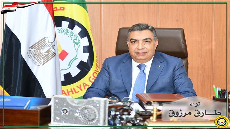 محافظ الدقهلية