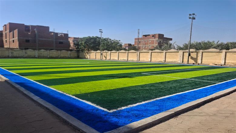 المنوفية