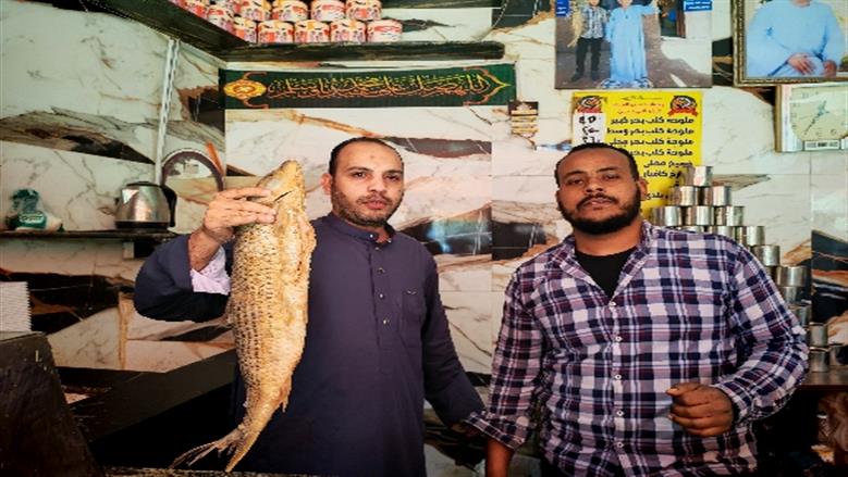 الفسيخ الأسواني ينافس البوري في شم النسيم.. نكهة نيلية بطابع مميز «فيديو»