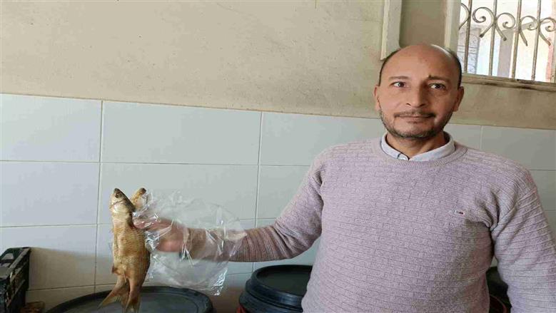 محلات الفسيخ في الغردقة