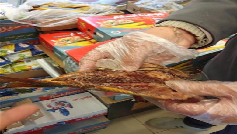 ضبط أسماك ورنجة منتهية الصلاحية بالفيوم