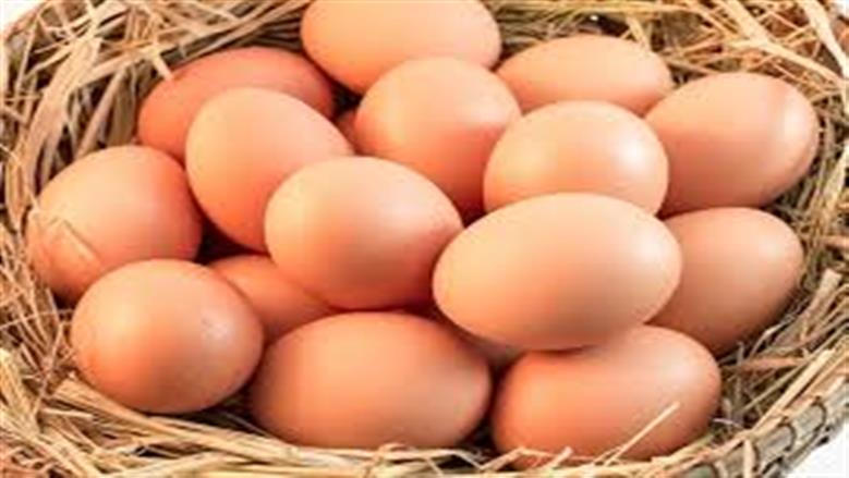 eggs