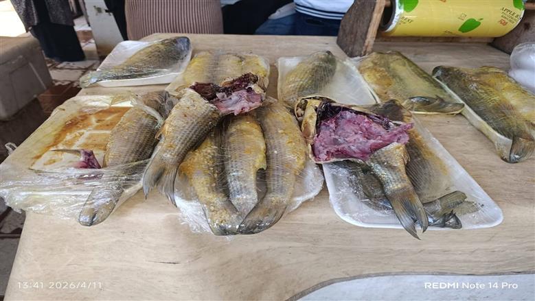 ضبط سلع فاسده ببورسعيد