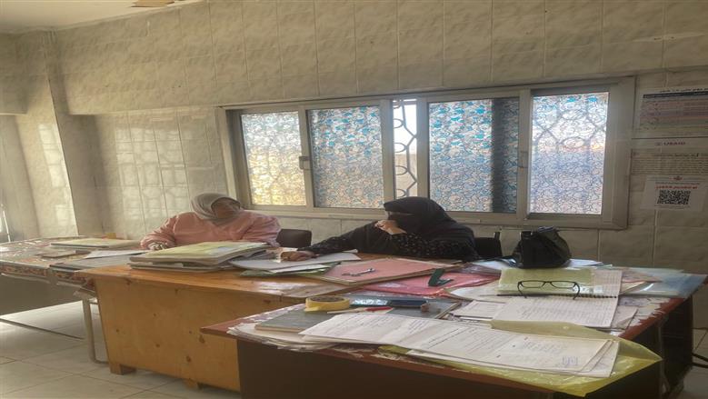 صحة الدقهلية