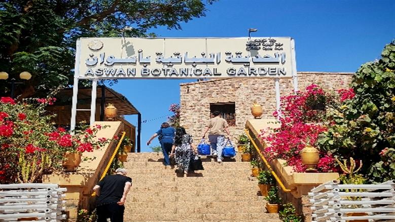 شيماء طه