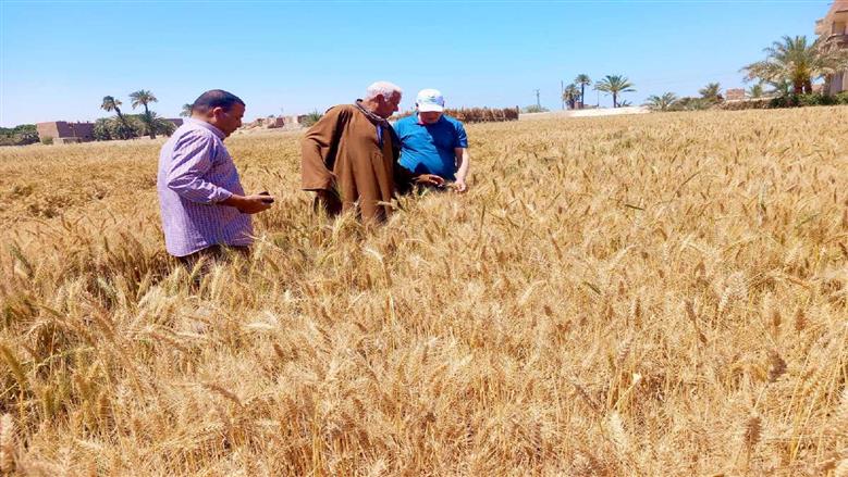 محافظ أسيوط يؤكد دعم المزارعين وتطوير الخدمات الزراعية 
