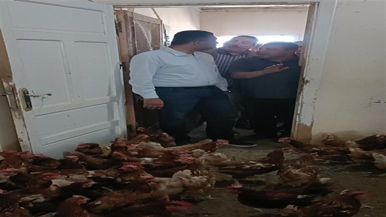 محافظ البحر الأحمر: وادي حوضين مشروع زراعي إنتاج حيواني وثروة سمكية في شلاتين