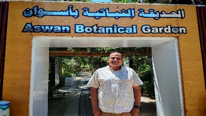 شيماء طه 