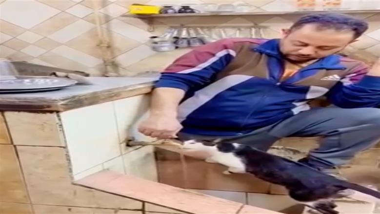 «دي بنتي يا عم».. موقف إنساني من قهوجي تجاه قطة (فيديو)
