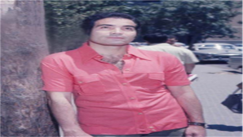 حسن يوسف 