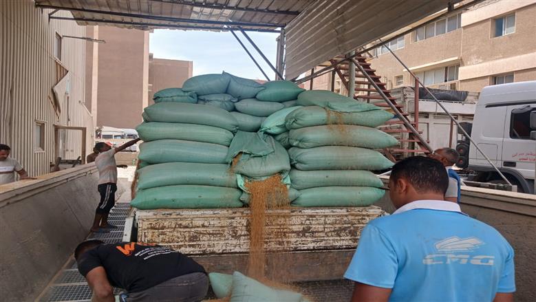 شيماء طه