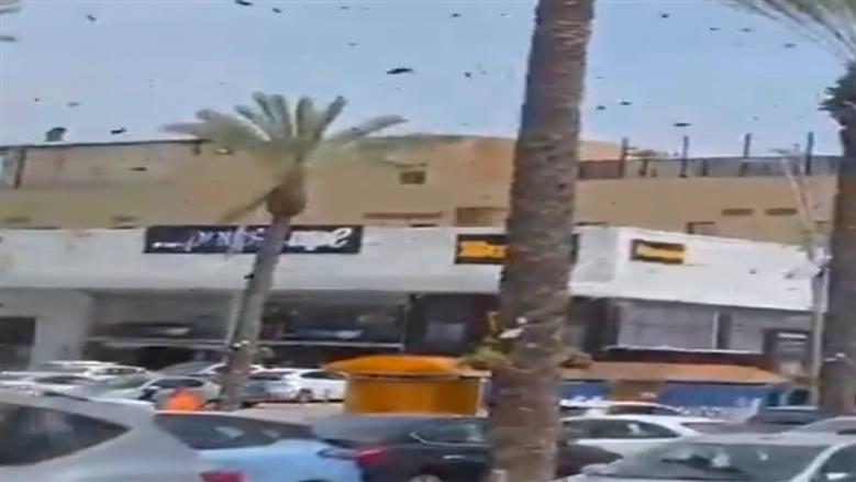 النحل يغزو مجمعا تجاريا ومبان سكنية جنوب الاحتلال الإسرائيلي