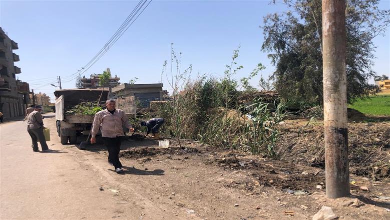 محافظ كفر الشيخ يتابع زراعة الأشجار ضمن مبادرة «100 مليون شجرة» في دسوق 