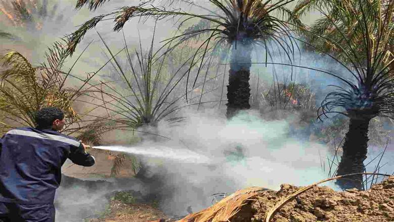 محافظ الوادي الجديد: حريق «العوينة» تحت السيطرة.. وتعزيزات بسيارات إطفاء