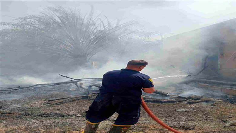 محافظ الوادي الجديد: حريق العوينة تحت السيطرة والدفع بتعزيزات إطفاء عاجلة