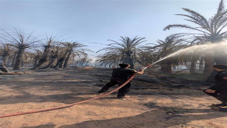 السيطرة على حريق 6 أفدنة نخيل بالوادي الجديد.. وبدء أعمال التبريد